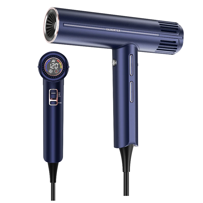 F10A Pro high-speed hair dryer